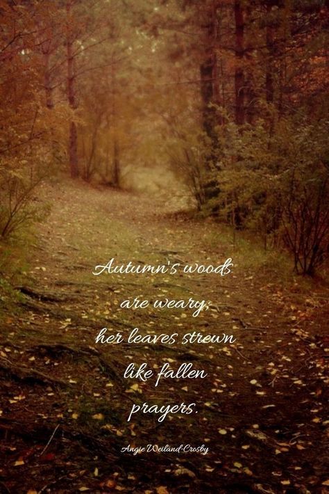 Autumn Quotes Inspirational, Nature Quotes Inspirational, Autumn Poems, October Country, Ending Quotes, Fall Quotes, Season Quotes, Long Distance Love, Motivational Quotes For Students