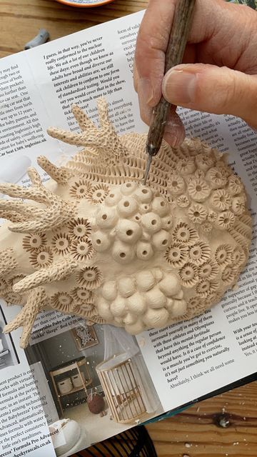 Underwater Clay Art, Pottery Coral Reef, Coral Ceramics, Clay Texture Ideas, At Reference, Ceramic Coral Reefs, Types Of Coral, Clay Coral, Coral Clay