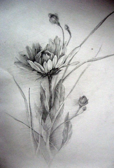 Realistic Plant Drawing, Natural Form Drawing, Charcoal Flowers, Flower Sketch Pencil, Realistic Flower Drawing, Modern Watercolor Art, Pencil Drawings Of Flowers, Flower Sketch, Flower Drawing Tutorials