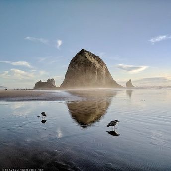 Two bird reflections with Haystack Rock in Cannon Beach, Oregon || Learn more about one of the World's Best Beaches Beaches In Oregon, Haystack Rock Oregon, Portland Oregon Travel, Things To Do In Oregon, Canon Beach, Haystack Rock, Portland Travel, Oregon Photography, Oregon Beaches