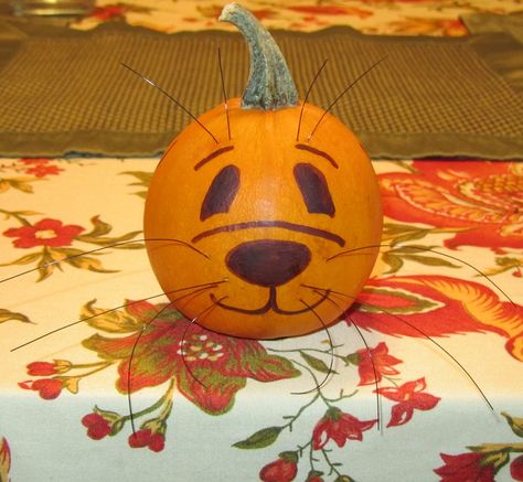 Why carve when you can draw. This pumpkin otter was made with a simple sharpie and stiff plastic tread. Tall Pumpkin Carving, Tall Pumpkin, Pumpkin Painting Ideas, Pumpkin Carvings Stencils, River Otter, Virtual Classroom, Play School, Pumpkin Painting, Pumpkin Ideas