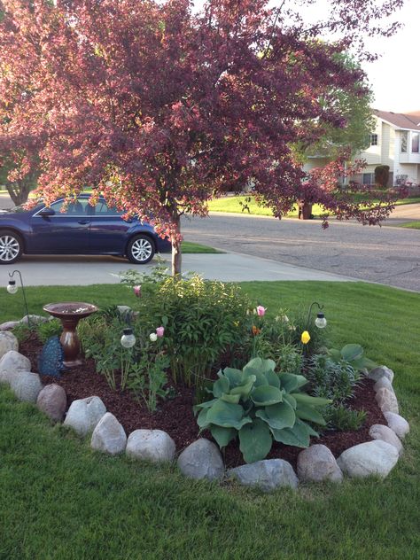 Front yard garden. Rock boarder, burgundy flowering tree, various perennials. Front Yard Landscaping With Tree In Middle, Front Lawn Garden Bed, Flower Bed With Tree In Middle, Driveway Appeal, Rocks Around Tree, Rock Borders, Tree Landscaping, Landscaping Around Trees, Garden Rock Border