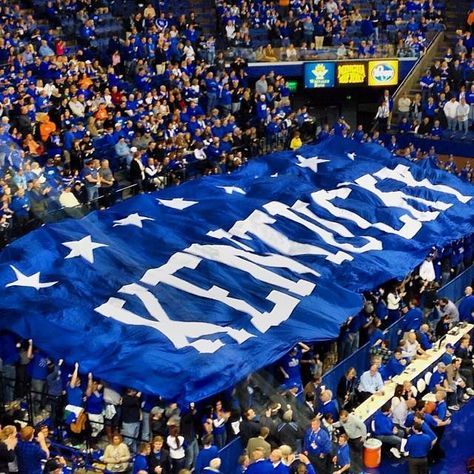 Rupp Arena, Kentucky Volleyball, Kentucky University Aesthetic, Kentucky University, University Of Kentucky Aesthetic, Kentucky Sports, University Of Ky, College List, Kentucky Wildcats Basketball