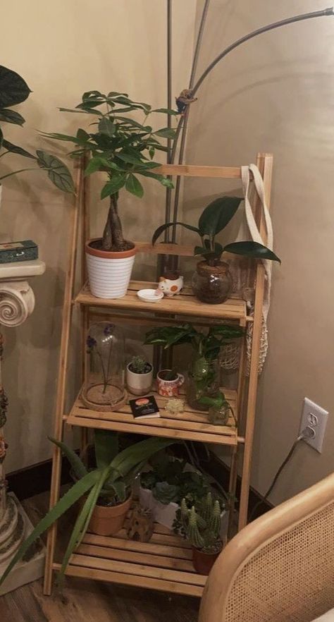 Aethstetic Room Idea Vintage, Beachy Alternative Aesthetic, Shelf Of Plants, Wooden Astetic Room, Earthy Grunge Aesthetic Room, Room Inspo Nature, Vintage Clean Room, Botanical Room Aesthetic, Hippy Aesthetic Room