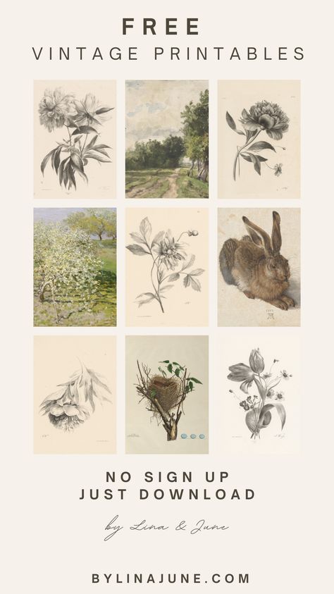 Just click, download, and print. It’s never been easier to redecorate your walls with some beautiful vintage botanical prints. The best part: It’s all FREE and you can do it yourself. Diy Botanical Art, Free Vintage Botanical Printables, Vintage Wall Art Prints Free Printables, Free Vintage Art Prints, Print Stickers Free Printable, Vintage Pictures Printable, Free Botanical Printables, Free Vintage Art, Free Wall Art Printables