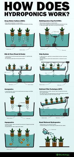 Indoor Vegetables, Hydroponic Farming, Hydroponics Diy, Aquaponic Gardening, Hydroponic Growing, Indoor Vegetable Gardening, Organic Vegetable Garden, Aquaponics System, Hydroponics System