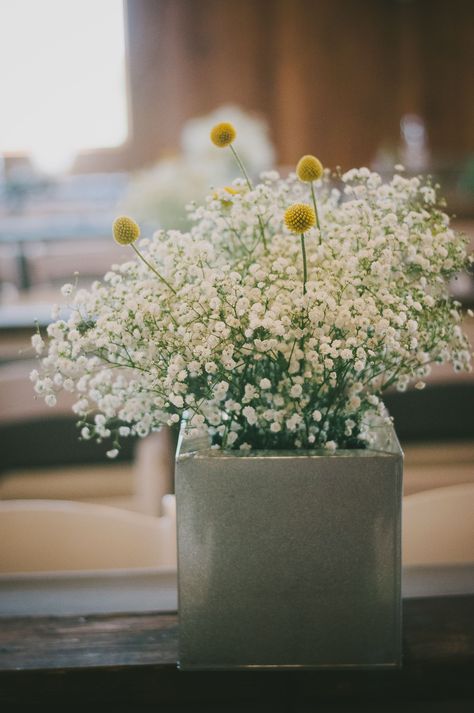 Baby's Breath and Yellow Craspedia Centerpiece Thistle Centerpiece, Wild Flower Arrangements, Billy Balls, Wedding Color Combos, Summer Wedding Decorations, Table Flowers, Rustic Industrial, Flower Centerpieces, Summer Garden