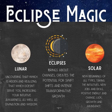 Incantari on Instagram: “Evening loves, There are two types of eclipses: lunar and solar. They occur when either a new or full moon aligns perfectly with the…” Solar Eclipse Magic, Eclipse Astrology, Full Moon Eclipse, Solar Lunar, Solar And Lunar Eclipse, Eclipse Party, Moon Journal, Astrology Books, Solar Eclipses