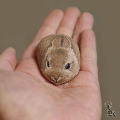 Diy Rock Art, Painted Rock Animals, Stone Art Painting, Little Animals, Painted Rocks Craft, Painted Rocks Diy, Rock Painting Patterns, Paint Rock, Pet Rocks