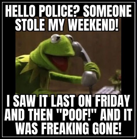 Hello Police? Someone Stole My Weekend! memes weekend humor funny memes weekend memes funny monday memes Funny But True, Kermit Funny, Happy Day Quotes, Funny Day Quotes, Good Morning Funny Pictures, Monday Humor, Weekend Quotes, Funny Good Morning Quotes, Morning Quotes Funny