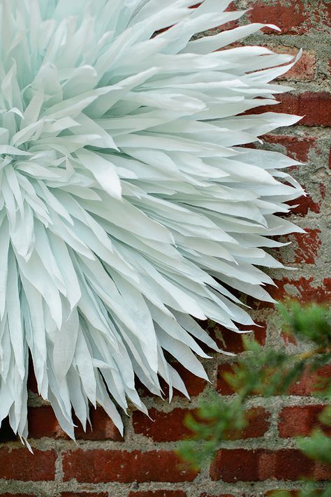 DIY Giant Paper Peonies and Spider Mums ⋆ Ruffled How To Make Large Flowers, Giant Butterfly Diy, Large Tissue Paper Flowers Diy, Large Flowers Diy, Paper Peony Diy, Tissue Paper Flowers Easy, Hyacinth Bouquet, Large Paper Flowers Diy, Giant Flowers Diy