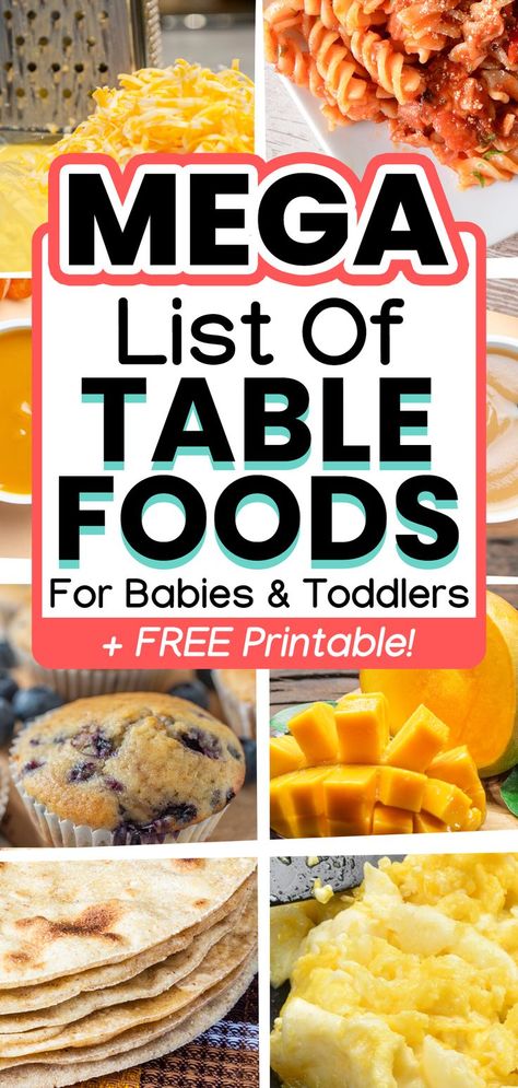 8 Month Old Food, Whole Foods List, Foods For Babies, First Finger Foods, Baby Activity Board, 11 Month Old Baby, Baby Solid Food, List Of Food, 7 Month Old Baby