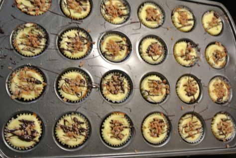 Mini Skor Cheesecakes – No Raisins Allowed Skor Cheesecake, Gluten Free Cheesecake Bites, Basic Cheesecake Recipe, Basic Cheesecake, Cheesecake Muffins, Mini Cheesecake Recipes, Gluten Free Cheesecake, Baked Cheesecake Recipe, Cheesecake Cupcakes