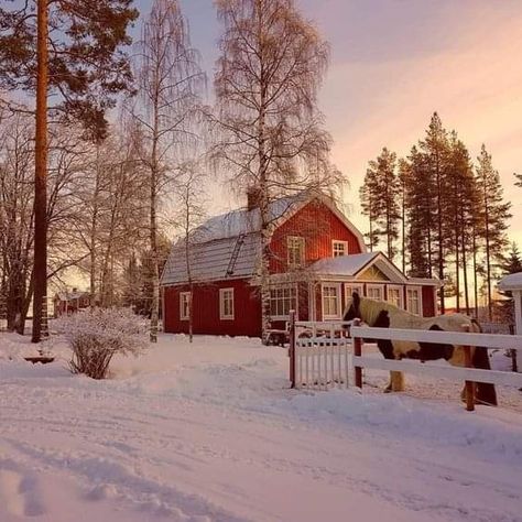 Sweden Life, Starting To Run, Driveway Sign, Swedish Homes, Winter Song, Woodland Winter, Swedish Cottage, Red Houses, Winter Landscapes