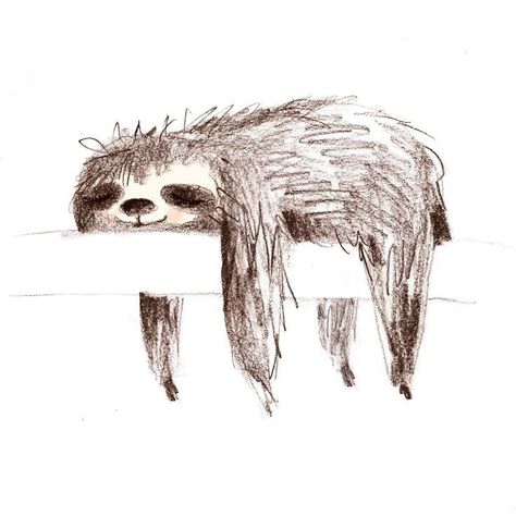 Sloth Drawing, Zebra Drawing, Sloth Tattoo, Sloth Animal, Sloth Sleeping, Illustrator Character, Sketches Doodles, Sloth Art, Sloth Stuffed Animal