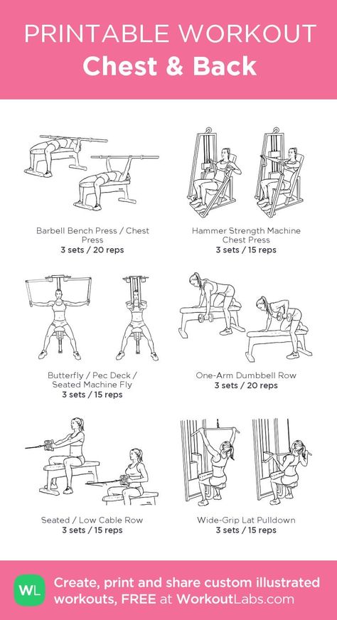 Chest And Back Workout, Chest Workout Women, Workout Chest, Back Exercise, Workout Labs, Fitness Studio Training, Back Workout Women, Workout Gym Routine, Printable Workout