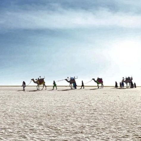 Rann of kutch is beautiful place of Kutch, Gujarat. one of the best tourist places. white rann looking beautiful in the winter. Rann of kutch are also known as white rann of kutch. Kutch Gujarat Culture, White Rann Of Kutch, Rann Of Kutch Photography, Great Rann Of Kutch, Salt Desert, Kutch Gujarat, Rann Of Kutch, Thar Desert, India Travel Places