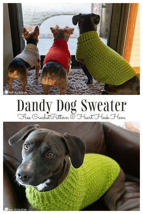 Dandy Dog Sweater Free Crochet Patterns Dachshund Dog Sweaters, Crochet Dog Sweater Free Pattern, Diy Dog Sweater, Knitted Dog Sweater Pattern, Large Dog Sweaters, Crochet Dog Clothes, Dog Coat Pattern, Dachshund Sweater, Dog Sweater Crochet Pattern