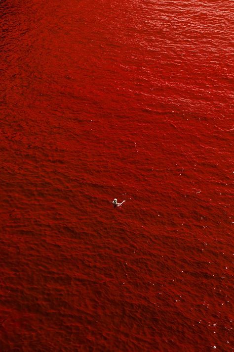 Red Water Aesthetic, Red Dark Painting, Red Ocean Painting, Blood In The Water, Blood Red Moon, Poor Circulation, Red Blood, Photography Color, Blood Art