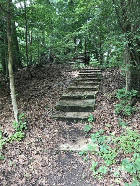 10 Great Hikes with History in South Jersey | South Jersey Trails Happy 10th Birthday, Old School House, Delaware River, Hidden Places, Family Trips, South Jersey, Birthday Posts, Nature Center, Cape May