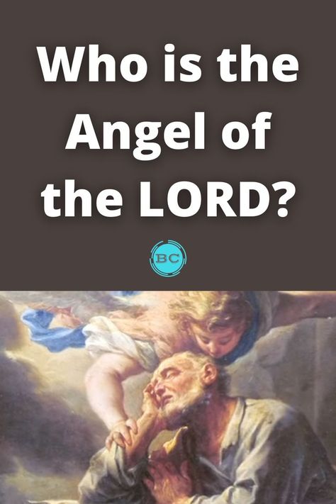 Who is the Angel of the LORD? The Angel Of The Lord, Character Of God, Angel Of The Lord, Real Angels, The Old Testament, Bible Quotes Prayer, A Lot Of People, Old Testament, The Angel