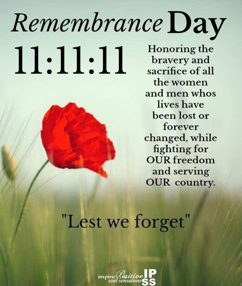 Remembrance Day Images, Remembrance Day Photos, Remembrance Day Poems, Remembrance Day Pictures, Remembrance Day Quotes, Veterans Day Poppy, Remembrance Day Posters, Remembrance Quotes, Remembrance Day Activities