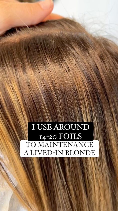 Lived In Blonde Foil Placement, Lived In Blonde Placement, Foil Placement Techniques, Blonde Chronicles, Foil Placement, Blonde Foils, Lived In Color, Diy Foil, Highlight Hair