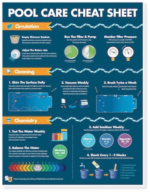 Cloudy Pool Water, Pool Cleaning Tips, Pool Algae, Pool Vacuums, Swimming Pool Maintenance, Living Pool, Pool Shock, Green Pool, Pool Hacks