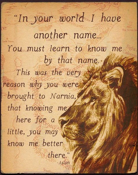 Aslan Cs Lewis Quotes. QuotesGram Narnia Lion, Narnia Quotes, Zero Wallpaper, Vampire Academy, Cs Lewis, Chronicles Of Narnia, A Lion, Divergent, The Avengers