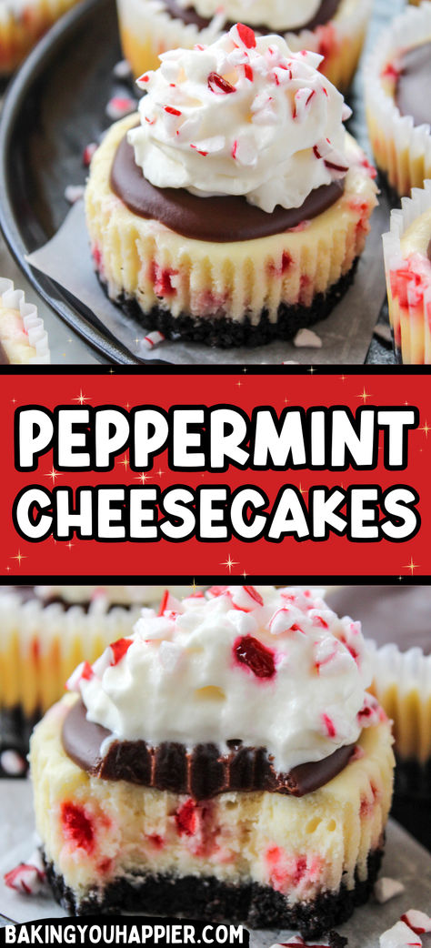 Mini Peppermint Cheesecakes, the taste of candy cane in the form of creamy cheesecake! These make the perfect compliment to holiday dinners! Chocolate Peppermint Mini Cheesecakes, Valentines Days Dessert, Candy Cane Mini Cheesecakes, Mini Candy Cane Cheesecake, Peppermint Brownie Cheesecake, Christmas Desserts Mini Cheesecake, Mini Cheesecakes Thanksgiving, Mini Christmas Desserts Holiday Treats, Holiday Mini Cheesecake Recipes