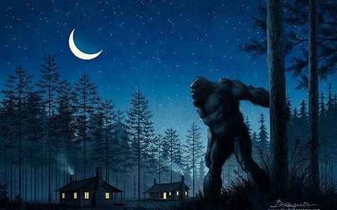 Bigfoot Pictures, Yeti Bigfoot, Bigfoot Art, Finding Bigfoot, Saint Helens, Bigfoot Sasquatch, Larp, In The Woods, Mythical Creatures