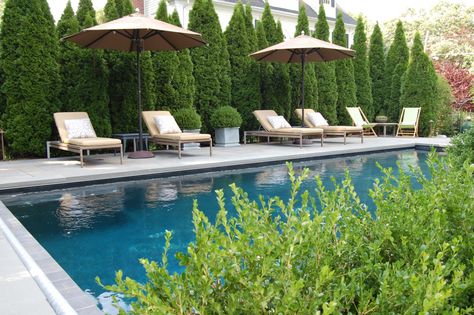 Formal Swimming Pools - Cording Landscape Design Italian Pool, Kleiner Pool Design, Emerald Green Arborvitae, Swimming Pool Landscaping, Privacy Landscaping, Pool Landscape Design, Small Pool Design, Backyard Pool Landscaping, Backyard Pergola