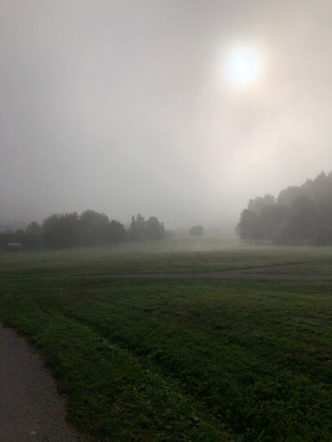 Foggy Field Aesthetic, Dark Green Academia, Foggy Field, Field Aesthetic, Landscape Aesthetic, Gacha Background, Green Academia, Fairy Grunge Aesthetic, Grasses Landscaping