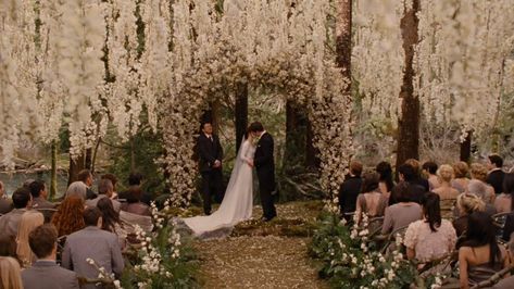 THE TWILIGHT SAGA 🍎 on Twitter: "No, YOU’RE crying. #Twilight… " Bella Y Edward, Monsoon Wedding, Twilight Saga Breaking Dawn, Twilight Wedding, Twilight Saga Series, Forest Theme Wedding, Twilight Pictures, Wedding Movies, The Wedding Singer