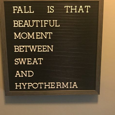 Fall Humor Season, Funny Autumn Quotes Humor, October Letterboard, October Letterboard Quotes, Fall Letterboard Ideas, September Letterboard Quotes, Fall Letterboard Quotes Funny, Funny Fall Signs, Fall Letter Board Ideas