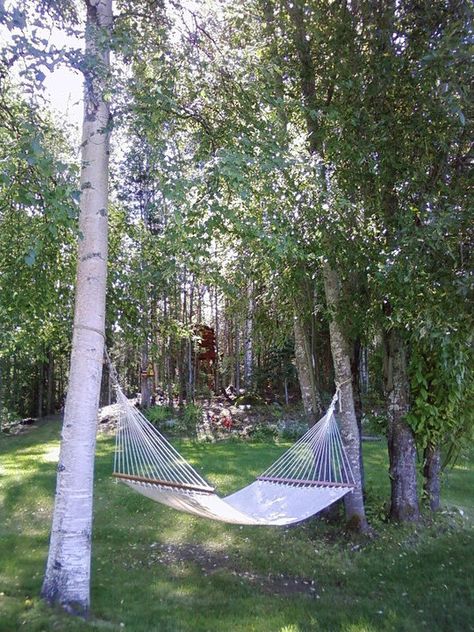 Alaska Sunset, August Moodboard, Porter House, Brain Storm, Nature Therapy, Backyard Hammock, Hitching Post, Agenda Cover, Big Lake