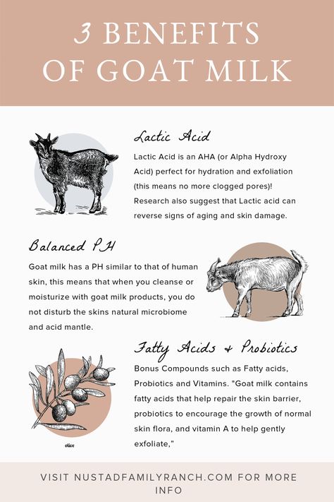 Goat Milk Soap 3 benefits charts Goats Milk Candles, Goat Milk Scrub, How To Make Goat Soap, Vanilla Goats Milk Soap, How To Pasteurize Goat Milk, Goat Soap Benefits, Goats Milk Products, Goat Milk Candy, Benefits Of Goat Milk Soap