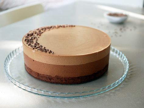 Coffee Gianduja Chocolate Mousse Cake | Cake Lab Coffee Mousse, Cake Recepies, Honey Chocolate, Hazelnut Praline, Hazelnut Butter, Tiramisu Cake, Chocolate Mousse Cake, Warm Chocolate, Coffee Tasting