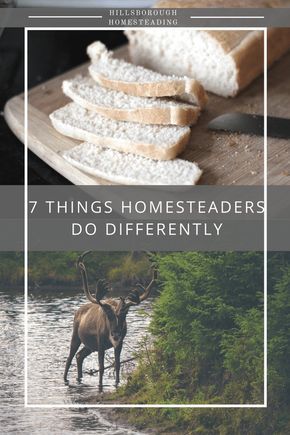 Homesteading In Alaska, Homestead Knowledge, Forgotten Skills, Mini Farming, Alaska Homestead, Alaska Living, Pioneer Living, Diy Homesteading, Backyard Homestead