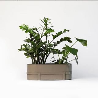 #besthomeplant (@besthomeplant) • Instagram photos and videos Balcony Planter Box, Balcony Planter Boxes, Planter Box Designs, Bauhaus Architecture, Balcony Planters, Rectangle Planters, Take Out Containers, Rectangular Planters, Hanging Plants Indoor