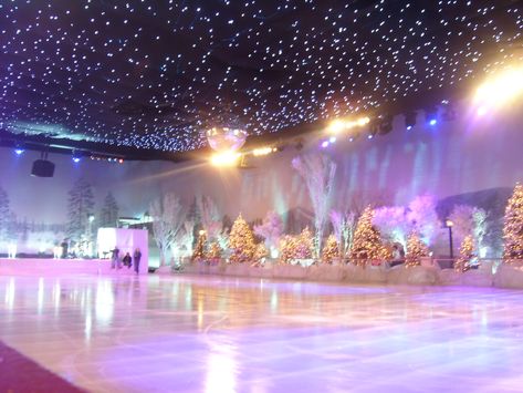 A Beautiful Ice Skating Rink | Ice Shows Indoor Ice Skating Rink, Synthetic Ice Rink, Indoor Ice Skating, Synthetic Ice, Outdoor Skating Rink, Ice Skating Party, Ice Painting, Roller Skating Rink, Snow Party