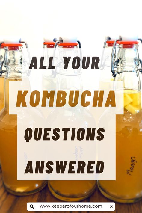 Curious about kombucha? Check out this FAQ guide to learn everything you need to know! From brewing tips to health benefits, get answers to all your kombucha questions in one place. What Is Kombucha, Kombucha Flavors Recipes, Kombucha Health Benefits, Scoby Hotel, Milk Kefir Grains, Kombucha Starter, Kombucha Benefits, Kombucha Flavors, Kombucha Scoby