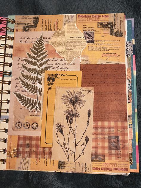 A page from my junk journal inspired by the 70s and nature. #faeriecore #junkjournaljunkies #crafting #naturecore #cottagecoreaesthetic #scrapbooking #scrapbookpage #scrapbooking Vintage Scrapbook Ideas Aesthetic, Nature Zine Design, Nature Junk Journal Ideas, Vintage Junk Journal Page Ideas, Nature Journal Aesthetic, Vintage Junk Journal Pages Ideas Layout, 70s Scrapbook, Junk Journal Spread, Journal Cover Collage