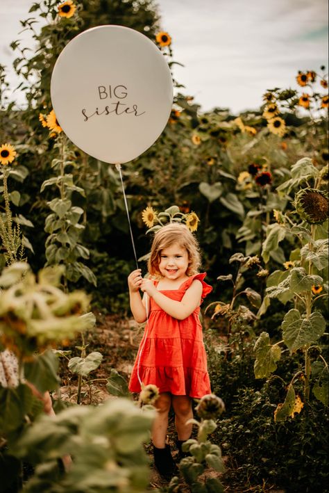 Big Sister Balloon Announcement, Second Maternity Photography Ideas, Fall Big Sister Announcement, Spring Baby Announcement Sibling, Big Sister Gender Reveal Ideas, Spring Pregnancy Announcement Baby 2, Pregnancy Announcement With Toddler Girl, Big Sister Photoshoot Announcement, Second Kid Pregnancy Announcement