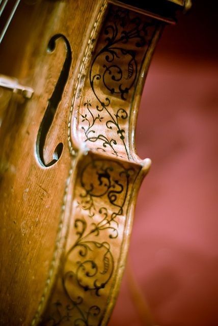 Stradivarius Violin, Homemade Instruments, Learn Violin, Baroque Ornament, Smithsonian Museum, Vampire Weekend, Historical Objects, Celebrity Tattoos, Wes Anderson