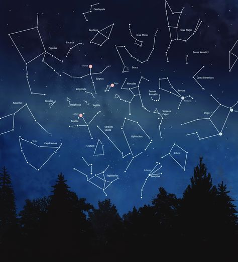 The sky was so clear last night, I could pick out almost all the summer constellations... Stars And Constellations, Stars In The Night Sky, Star Constellations, To Infinity And Beyond, The Night Sky, Space And Astronomy, Ravenclaw, Out Of This World, Science And Nature