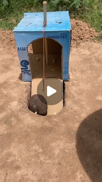 DIY Easy Birds Trap 🕳 on Instagram: "deep hole bird trap using cardboard box #shorts" Diy Animal Trap, Animal Traps How To Make, Bird Traps Diy How To Make, Skunk Trap, Hornet Trap, How To Make Traps, Box Shorts, Bird Trap, Animal Traps