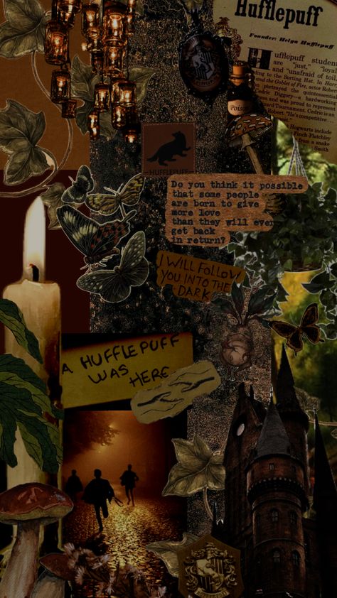 #hufflepuff #hufflepuffaesthetic #hufflepuffvibes #darkacademiaaesthetic #darkhufflepuff #harrypotteraesthetic Hufflepuff Wallpaper, Hufflepuff Aesthetic, Hufflepuff House, The Goblet Of Fire, Harry Potter Hufflepuff, Hogwarts Aesthetic, Cedric Diggory, Goblet Of Fire, Sorting Hat