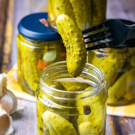 Homemade Sweet Gherkins (Canned Pickles) Homemade Tortilla Recipe, Homemade Pickles Dill, Salad Appetizer Cups, Dill Pickle Recipe, Pickled Cucumbers, Homemade Carrot Cake, Quick Pickled Cucumbers, Refrigerator Pickles, Dill Pickles