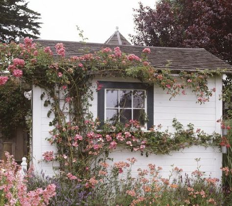 Paz Hippie, Cottage Aesthetic, Theme Nature, Cottage Core Aesthetic, Rare Flowers, Climbing Roses, Cottagecore Aesthetic, + Core + Aesthetic, Cottage Homes